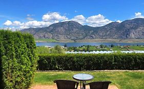 Shiraz Villa